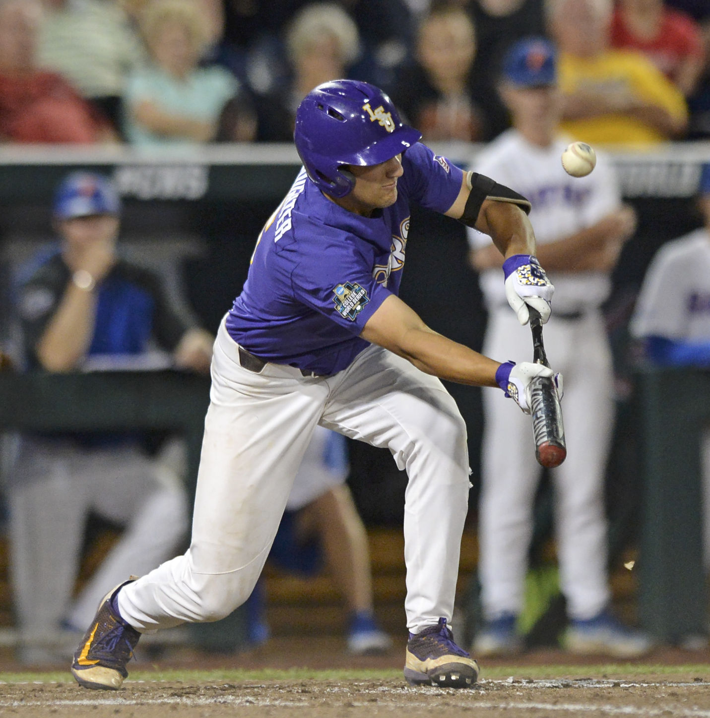 BR.lsuflorida.062817 HS 1254.JPG